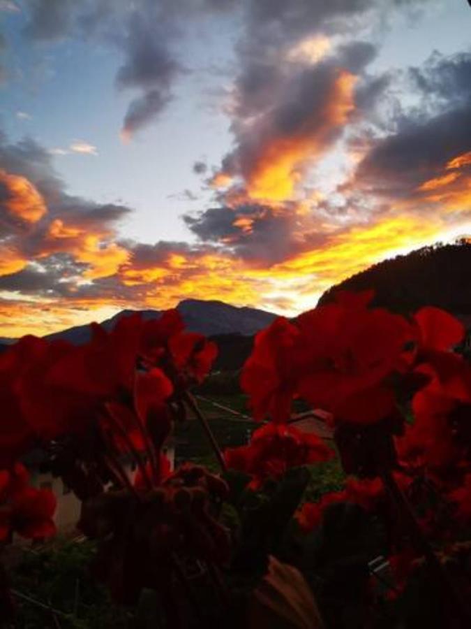 Apt. BELLA VISTA nel Cuore della Valle di Cembra. Segonzano Esterno foto